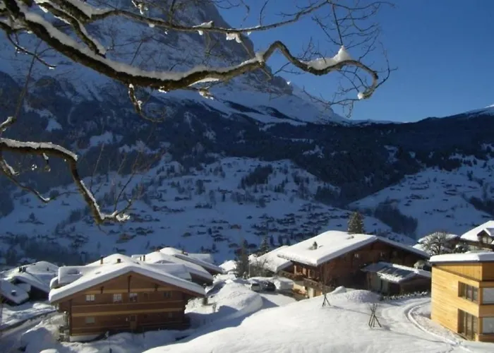 Chalet Stieregg, West * גרינדלוולד